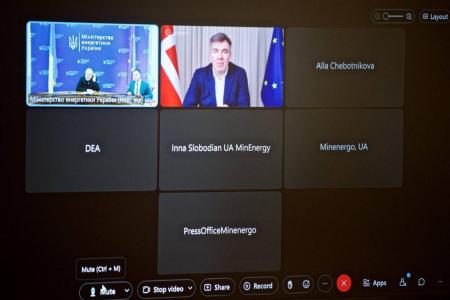 Україна зацікавлена у данському досвіді розвитку вітрової енергетики