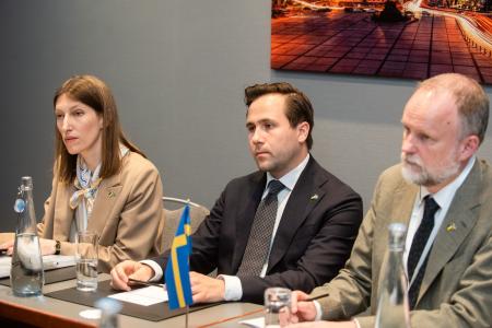 Україна і Швеція поглиблюють співпрацю для відновлення та «зеленої» трансформації енергосектору