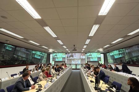 Переговори про членство України в ЄС: розпочався скринінг законодавства у сфері енергетики