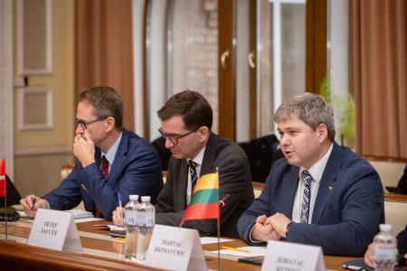 Україна та країни Нордично-Балтійської вісімки обговорили шляхи стабілізації енергопостачання та модернізації мереж